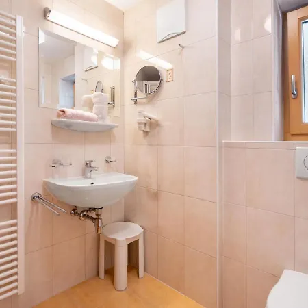 Rosa-9 By Interhome Mayrhofen